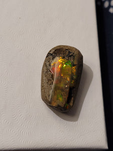 Boulder Opal Pendant - RW/CD-CS210004