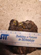 Load image into Gallery viewer, Rough Opal - Boulder Opal - RW/CD-B230001

