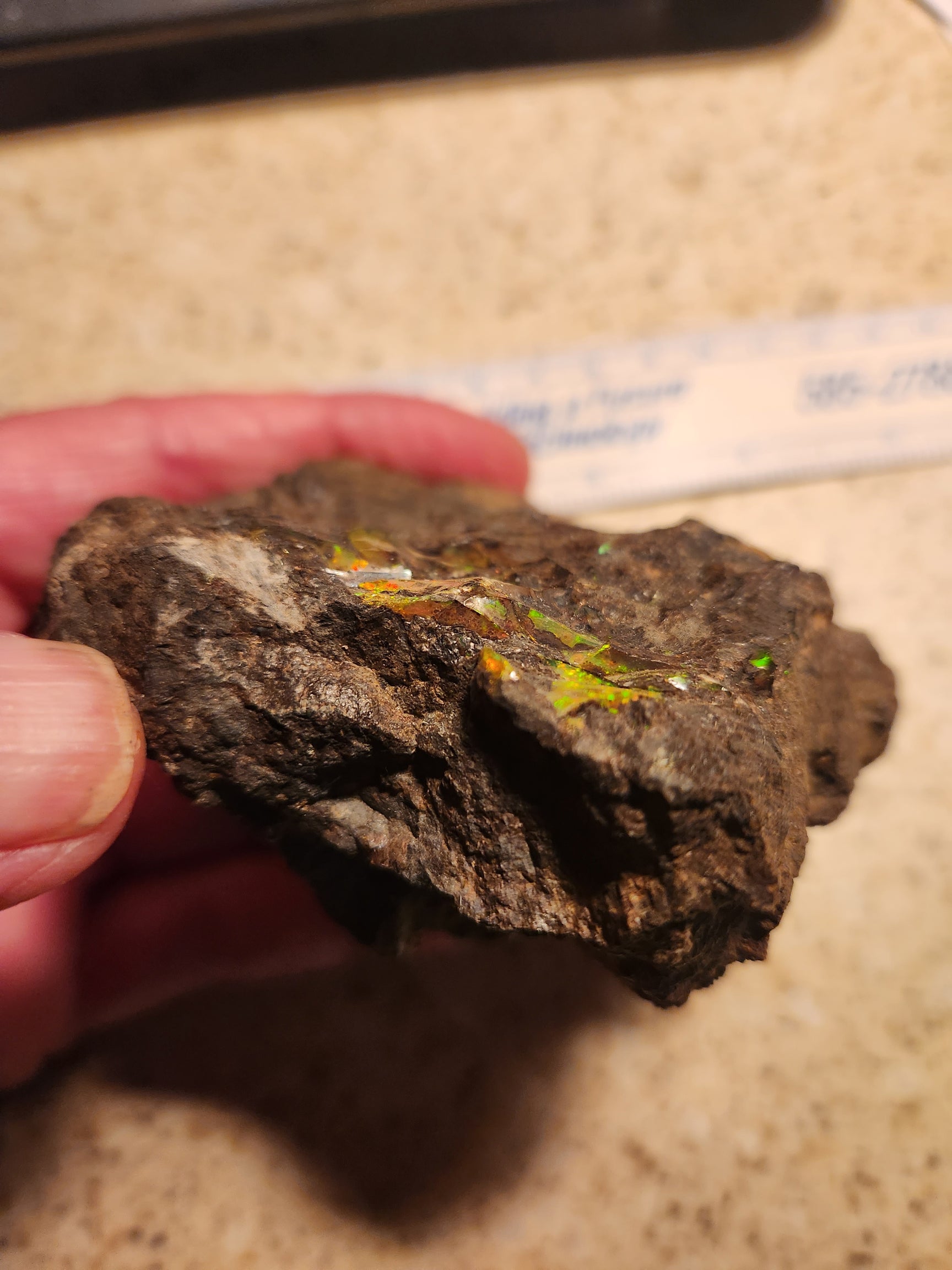 Rough Opal Boulder Opal RW/CDB230001 Canadian Opals