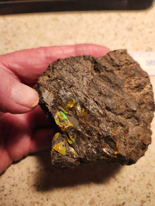 Rough Opal - Boulder Opal - RW/CD-B230001