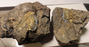 Specimen - RW20 - BOS0002 (SF)