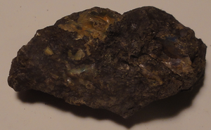 Specimen - RW20 - BOS0005