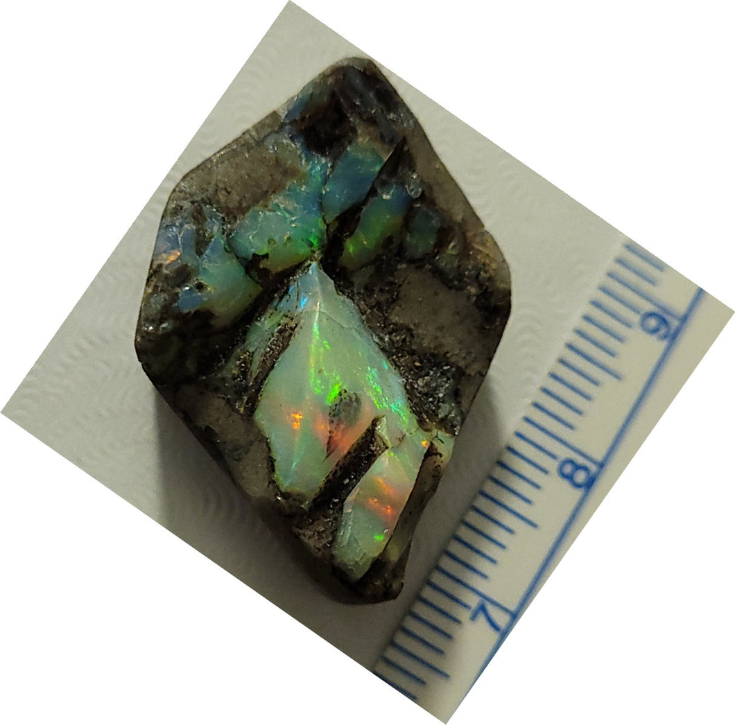Cut Stone - Boulder Opal - RW/MW-CS210001