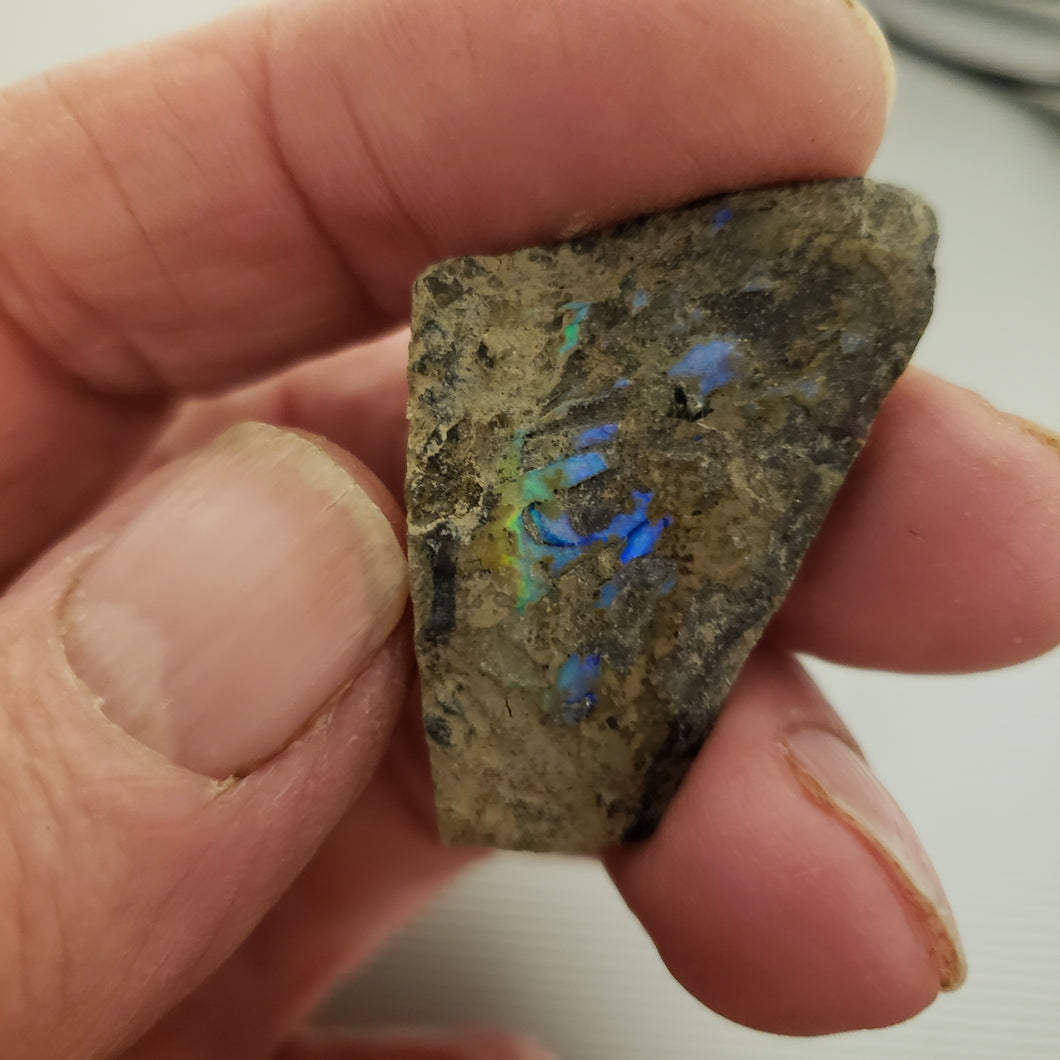 Specimen - RW20 - BOS0006